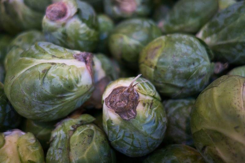 Brussel Sprouts for sale are seen at the Eastern Market