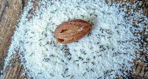 Pictures That Taught Us Lessons They Don’t Teach In School – Surprising Truths About The World Caught On Film