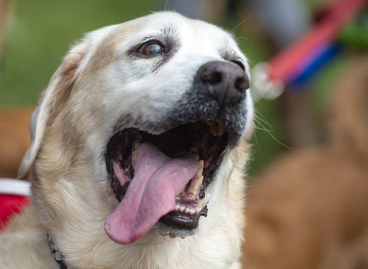 Crosby Was Happy About Something
