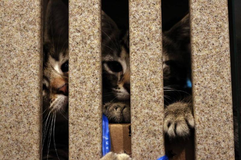 George Needed A Plan B