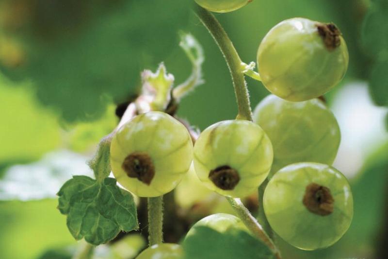 GettyImages-629377775 GettyImages-629377775