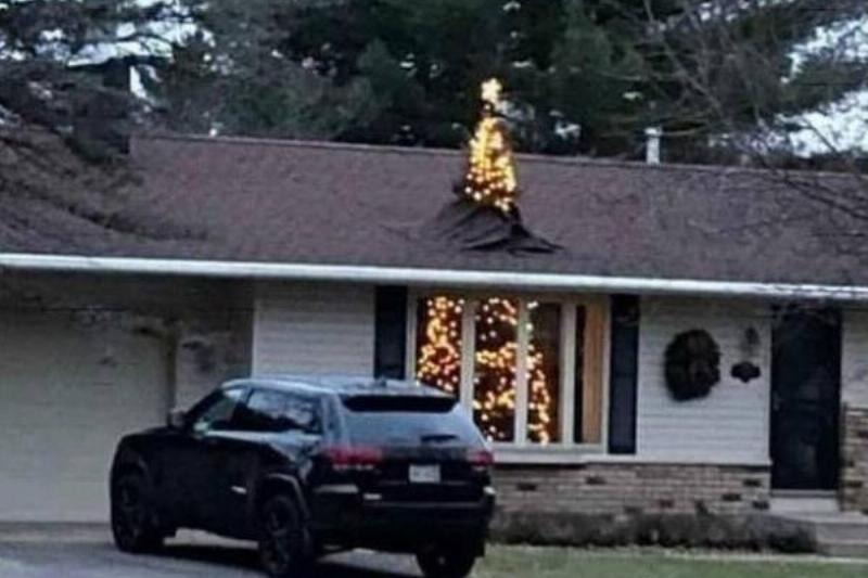 Hunny, The Tree Is Up!