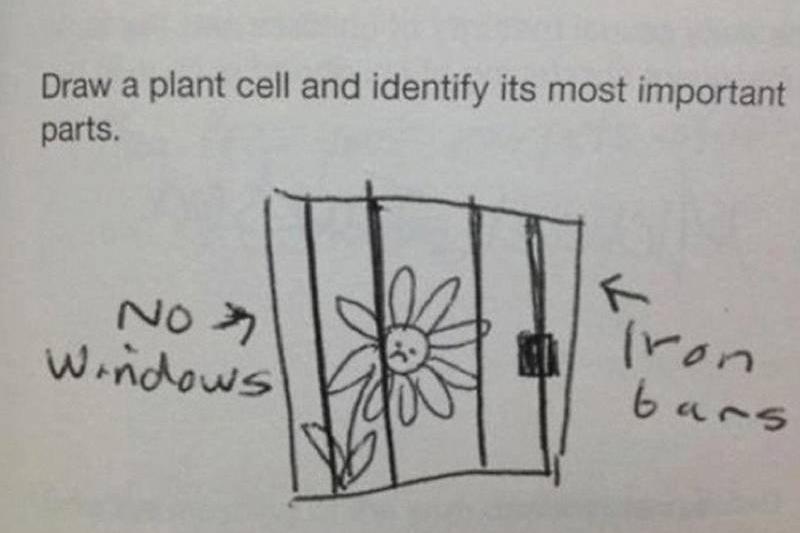 brilliant-kids-test-answers-7-81160 brilliant-kids-test-answers-7-81160