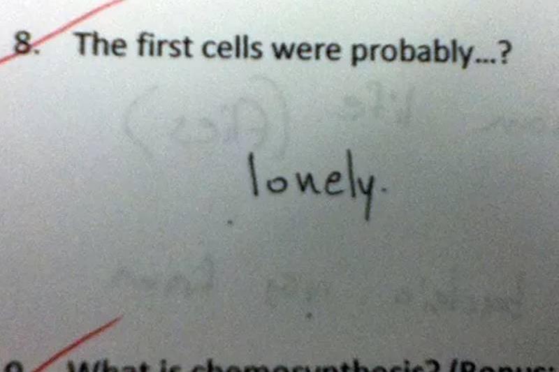 lone-26285 (1) lone-26285 (1)