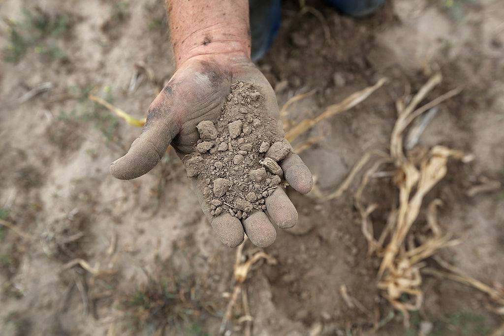 Handful of soil 