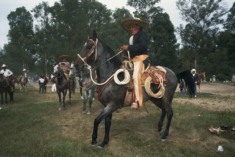 Cowboys Originated From Mexico Cowboys Originated From Mexico