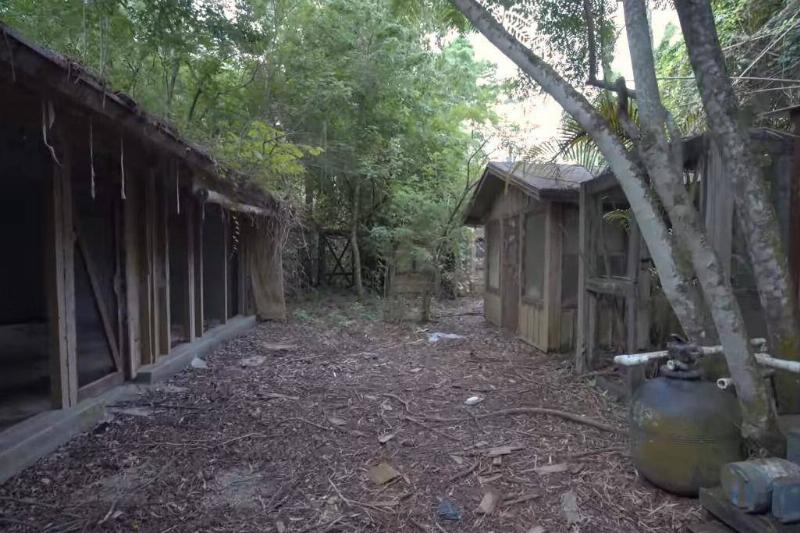 Disney's Discovery Island In Florida, U.S.A. Disney's Discovery Island In Florida, U.S.A.