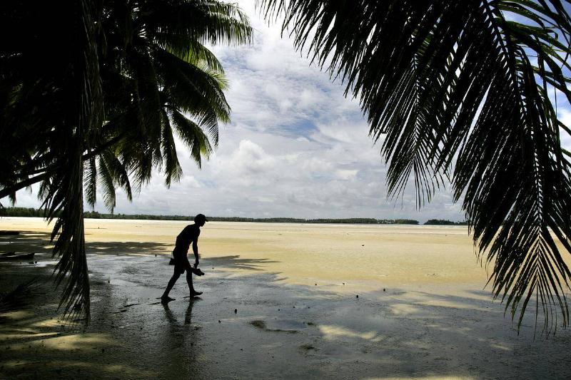 Palmyra Atoll In Hawaii, U.S.A. Palmyra Atoll In Hawaii, U.S.A.