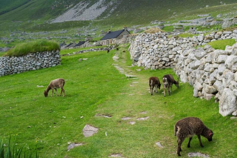 St. Kilda In North Uist, Scotland St. Kilda In North Uist, Scotland