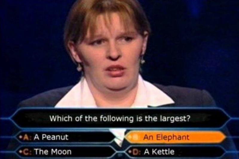 an elephant Contestant on Who Wants To Be A Millionaire says an elephant is larger than the moon