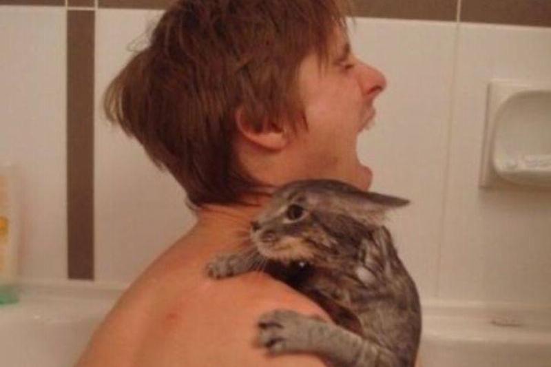 cat in water man bathing with cat gets clawed