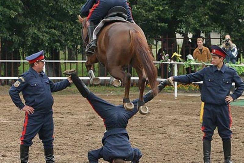 horse kick Horse jumping over a man doing the splits while upside down--it looks like the horse might hit him in the family jewels