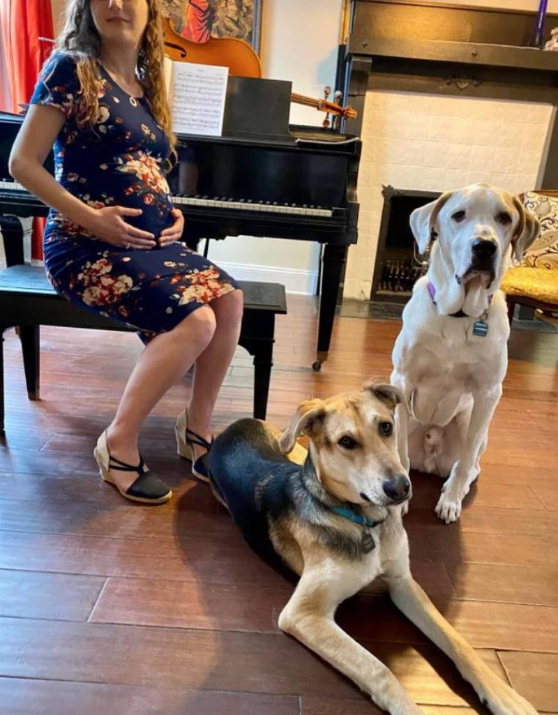 pregnant woman half in frame with focus on two dogs