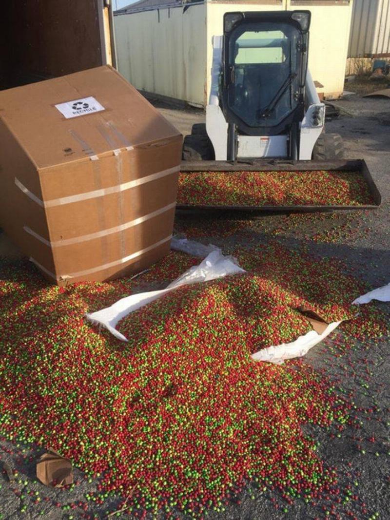 overestimating large box of skittles spilled while shipping