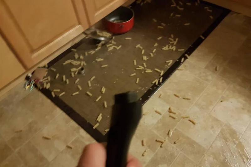 person holding pot handle that has broken off of pot that has fallen off and there is pasta all over the floor