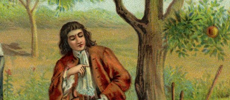 Sir Isaac Newton and the theory of gravity