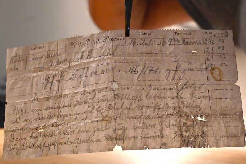 carrier-pigeon-note-24