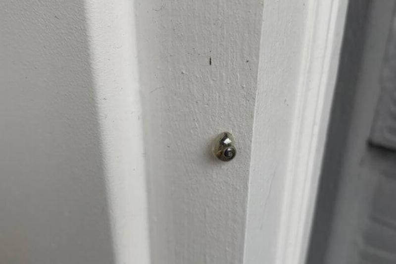crystal clear snail shell on door