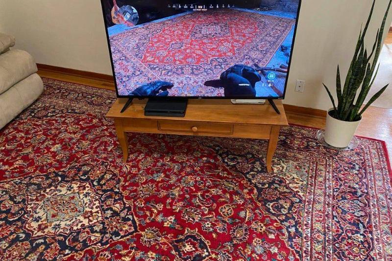 flatsixfan Reddit rug on television matches the rug in the home