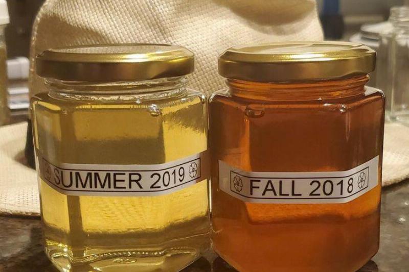 honey harvest different seasons
