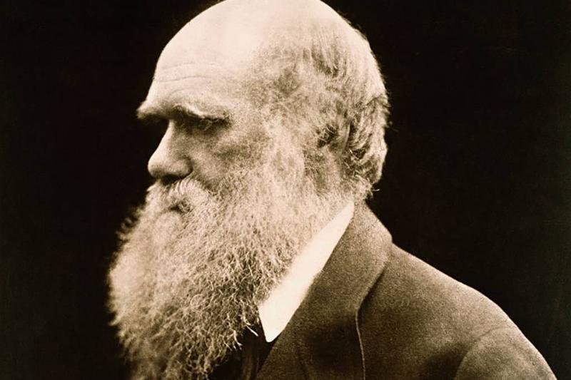 Picture of Charles Darwin 