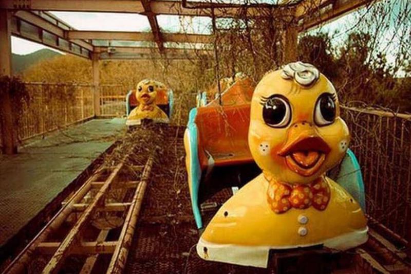 Tragedy Forced South Korea To Put These Ducks Out Of Commission Tragedy Forced South Korea To Put These Ducks Out Of Commission
