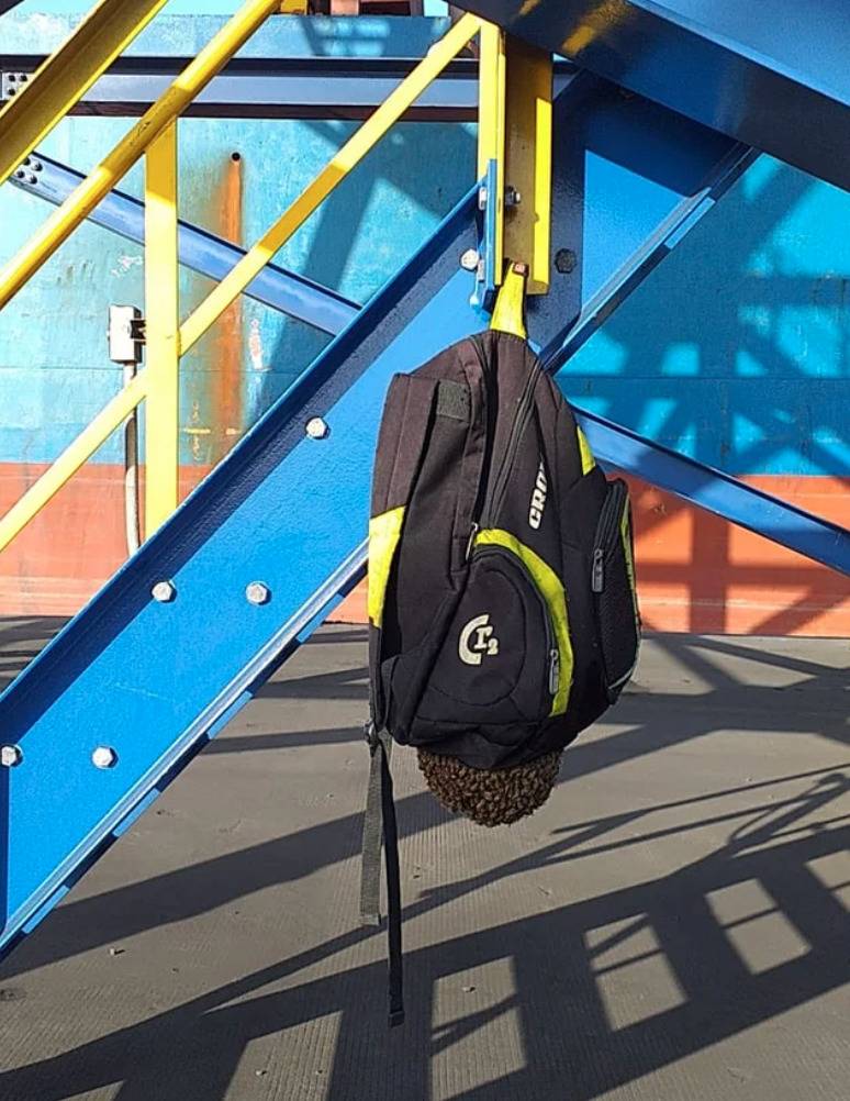 backpack backpack hanging from metal railing with a bunch of bees swarmed on the bottom