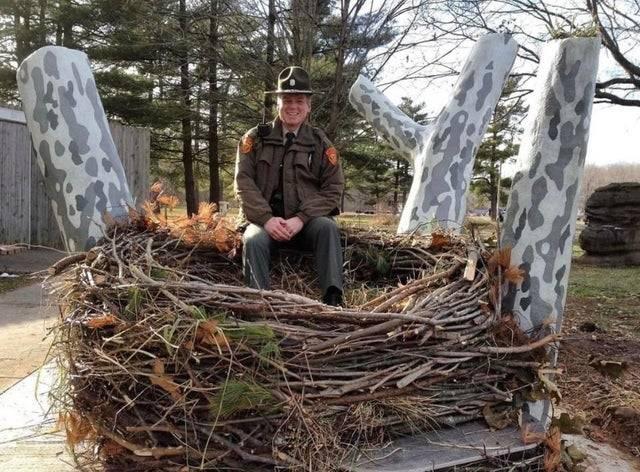 ranger sitting in a bald headed eagle's nest
