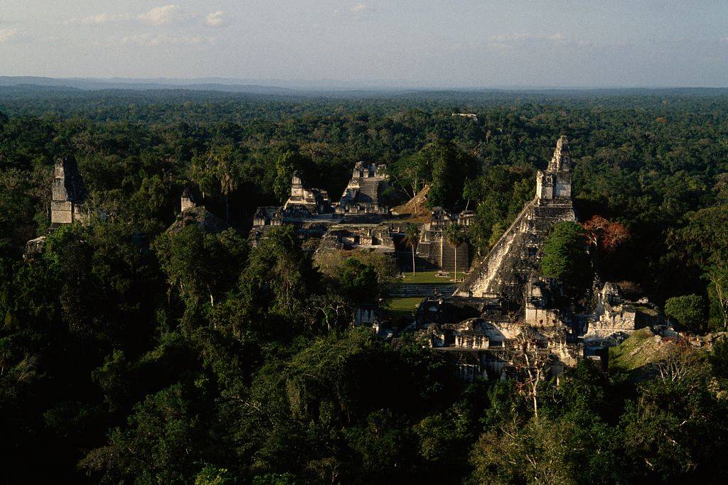 Picture of  Mayan Pyramids of Tikal