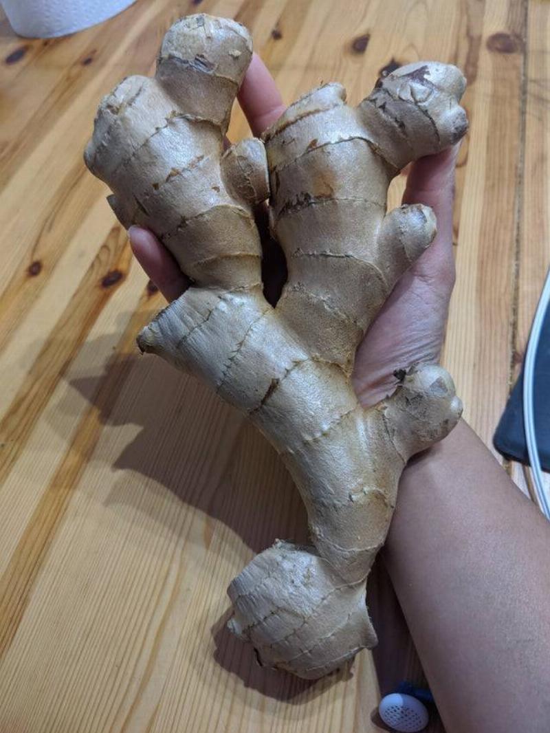 huge piece of ginger