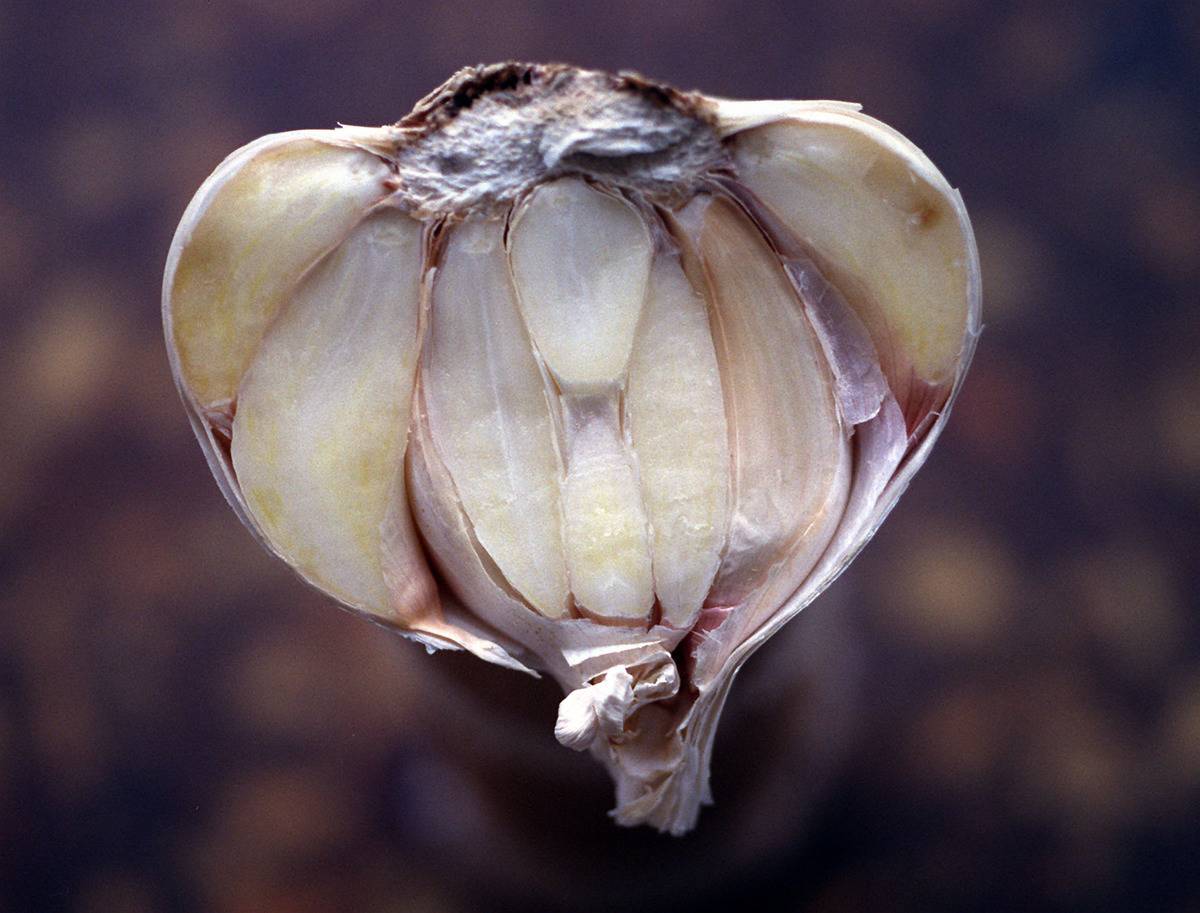 GettyImages-56049484