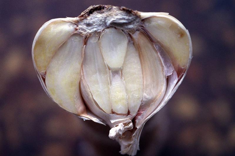 xqq-garlic GettyImages-56049484