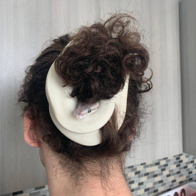 hair snake person with white snake in their hair