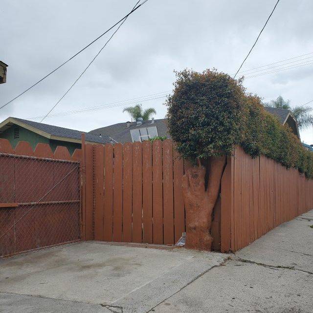 painted tree tree painted brown to match fence