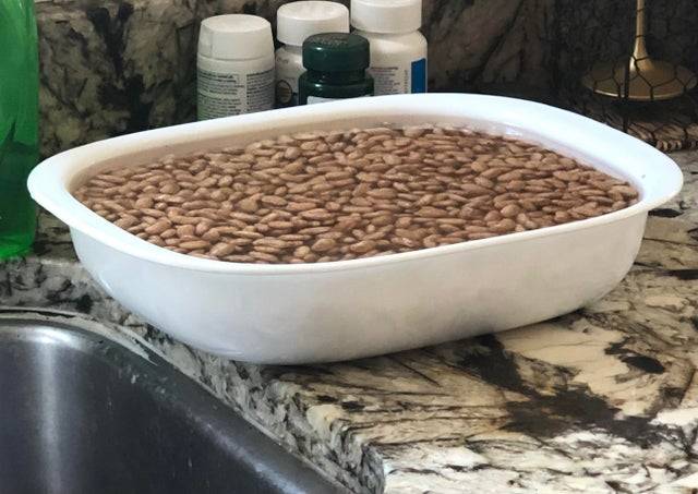 soaked beans container of beans soaking on counter