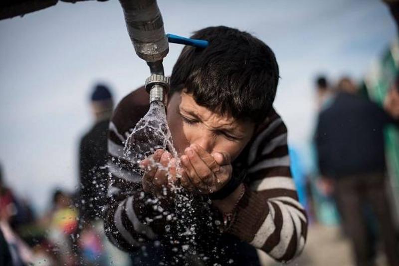 21 Comidas Tiroides 8 21 Comidas Tiroides 8