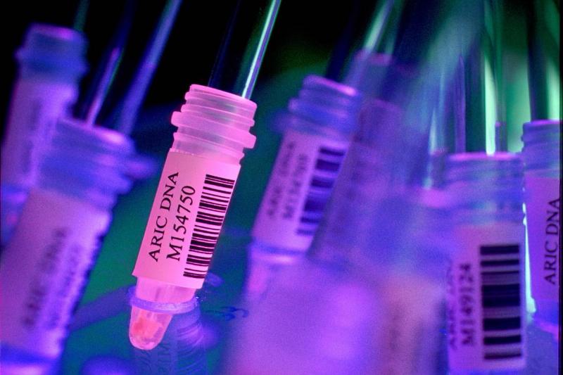 DNA samples are illuminated in blue and purple light in a laboratory.