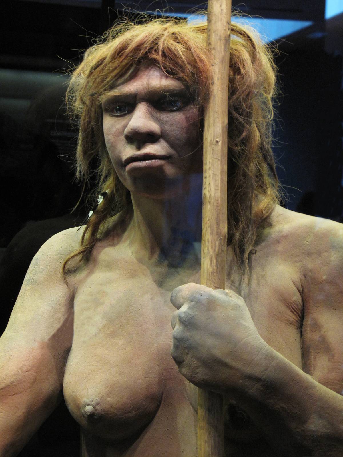 A reproduction of a Neanderthal woman is in the National Archaeological Museum in Madrid.