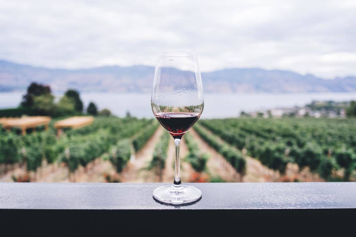 Wine glass with red wine on ledge looking over vineyard