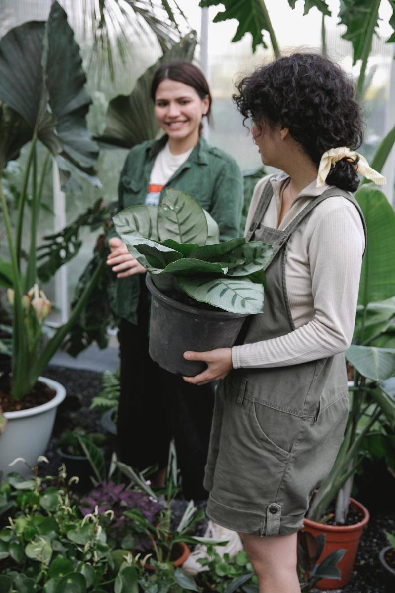 Women smile while holding plants in a greenhouse