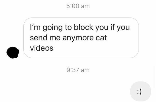 cat text