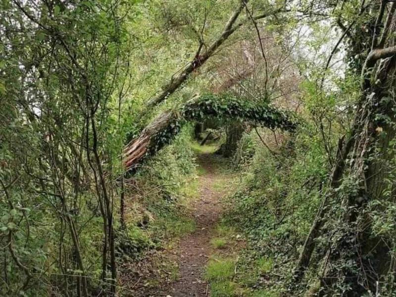 art-by-nature-v0-9oq4ngl1edl61