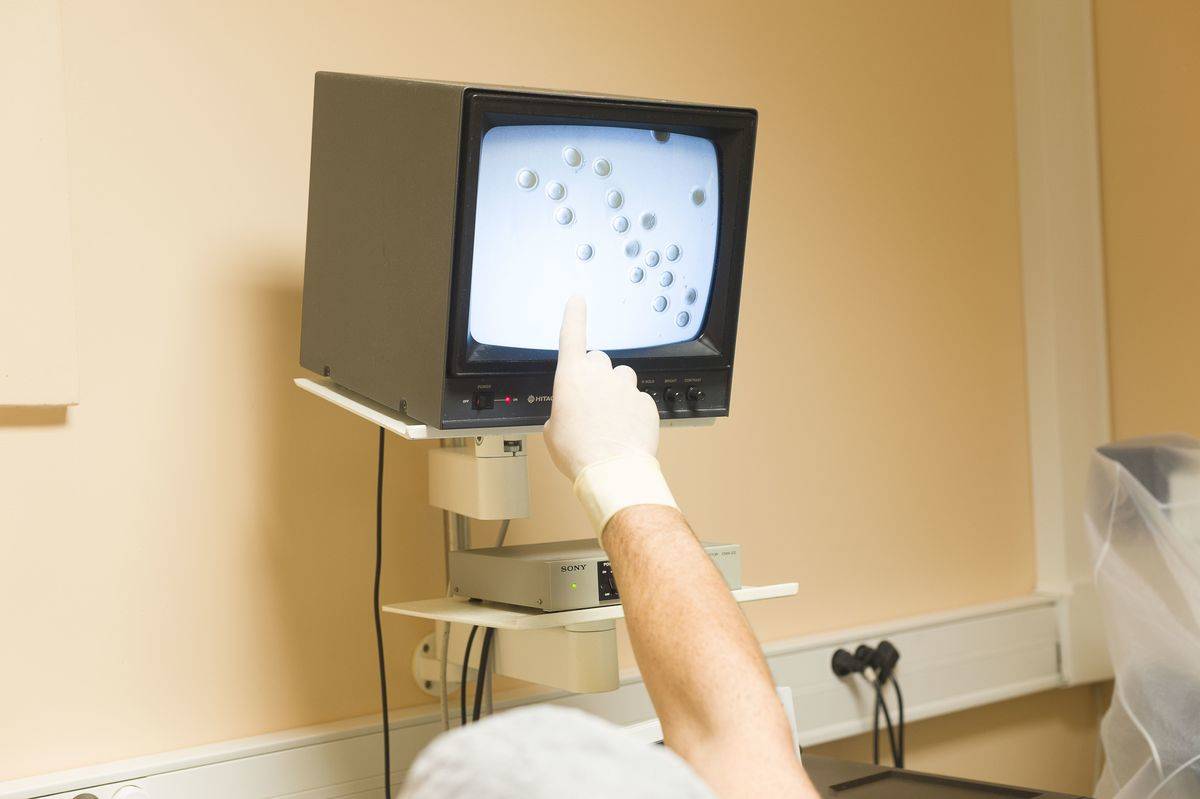 A doctor points to an embryo on a screen.