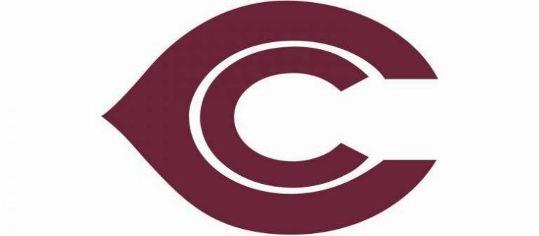 Arizona-Cardinals-Logo-1920-768x528