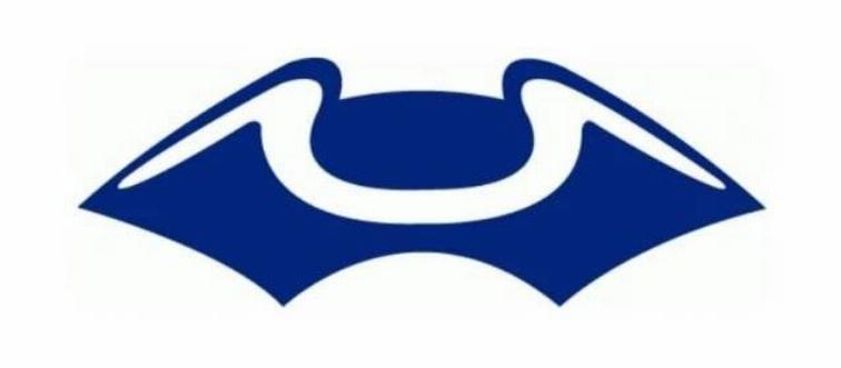 New-England-Patriots-Logo-1960-640x401
