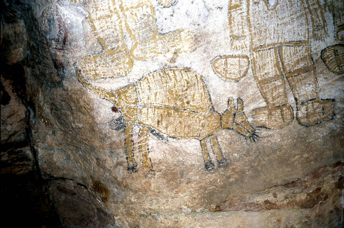 aboriginal markings Aboriginal paintings of a now-extinct tiger line a cave.