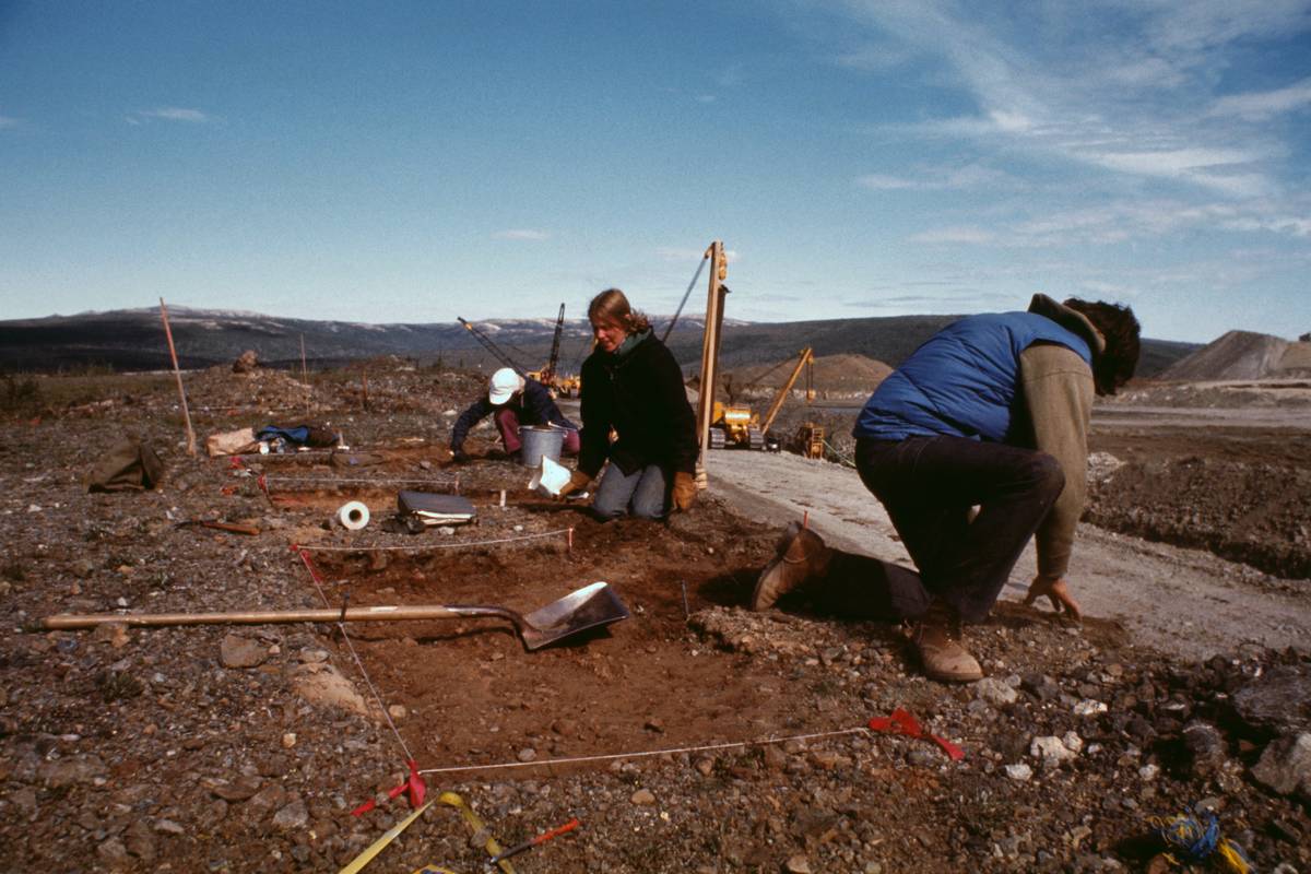 al archaeology Archaeologists dig for artifacts in Alaska.