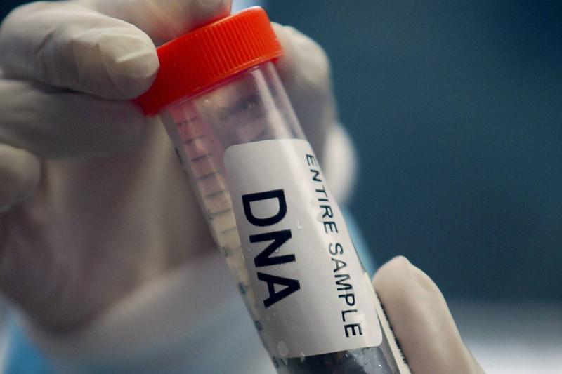 dna sample A researcher holds a vial of sample DNA.