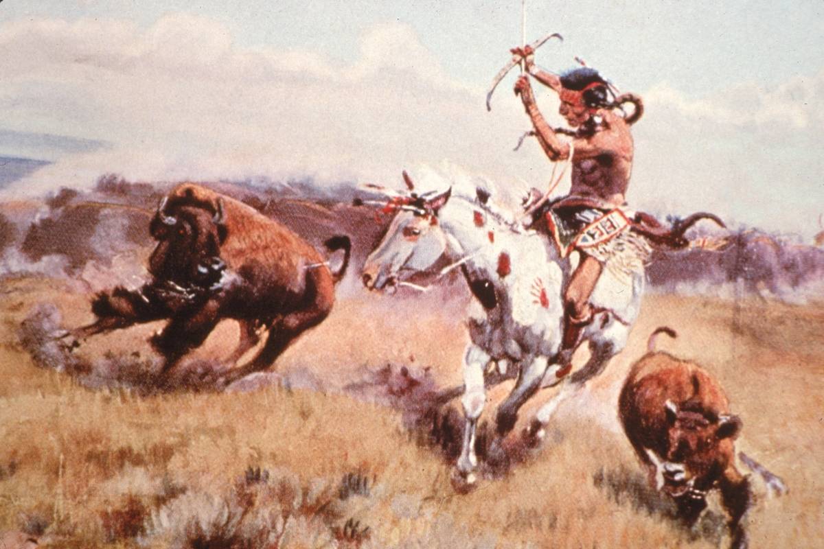 hunting bison In this 1850 painting, a Native American hunts bison.