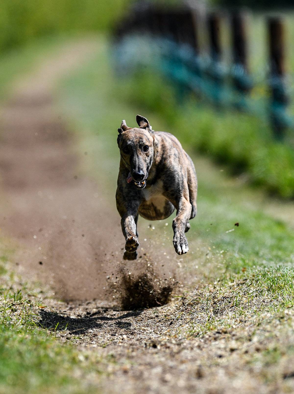 Margaret Bolton Feature